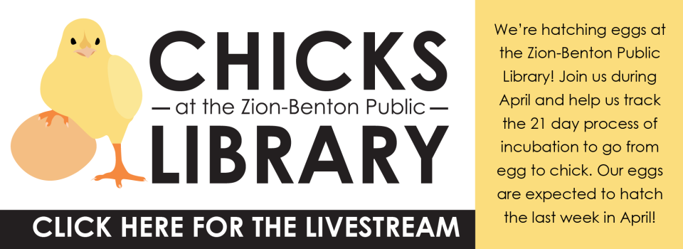 Website_Chicks 2025-01